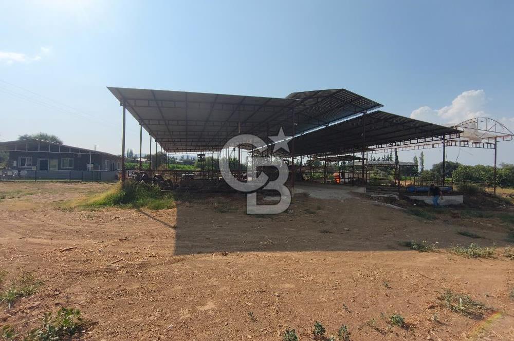 ÖDEMİŞ'TE İMARLI ALANA KOMŞU SATILIK 5900 m² MÜSTAKİL ÇİFTLİK