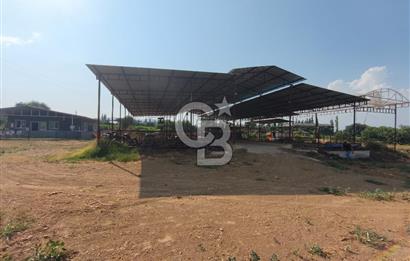 ÖDEMİŞ'TE İMARLI ALANA KOMŞU SATILIK 5900 m² MÜSTAKİL ÇİFTLİK