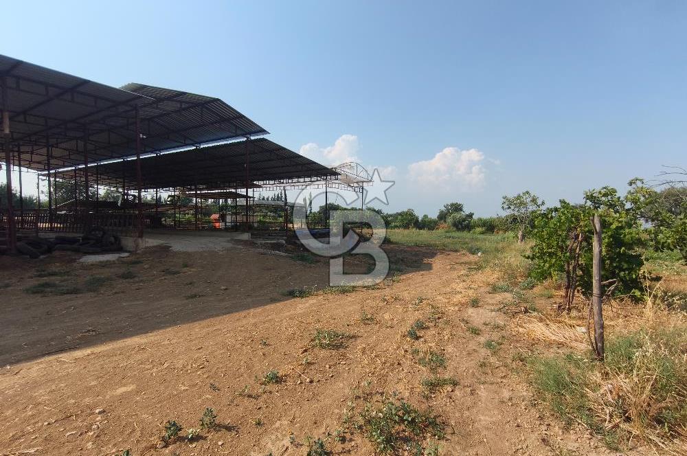 ÖDEMİŞ'TE İMARLI ALANA KOMŞU SATILIK 5900 m² MÜSTAKİL ÇİFTLİK