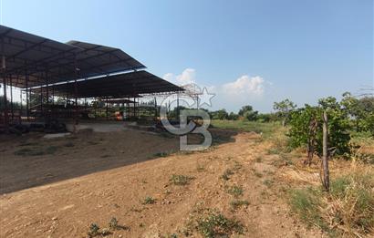 ÖDEMİŞ'TE İMARLI ALANA KOMŞU SATILIK 5900 m² MÜSTAKİL ÇİFTLİK