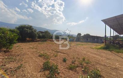 ÖDEMİŞ'TE İMARLI ALANA KOMŞU SATILIK 5900 m² MÜSTAKİL ÇİFTLİK