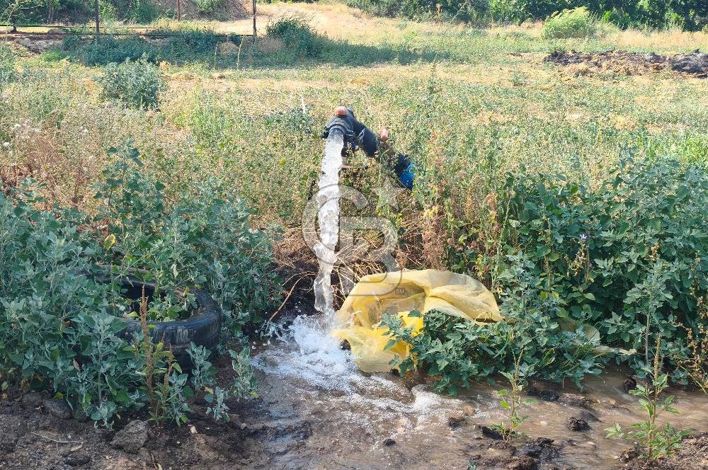 ÖDEMİŞ'TE İMARLI ALANA KOMŞU SATILIK 5900 m² MÜSTAKİL ÇİFTLİK