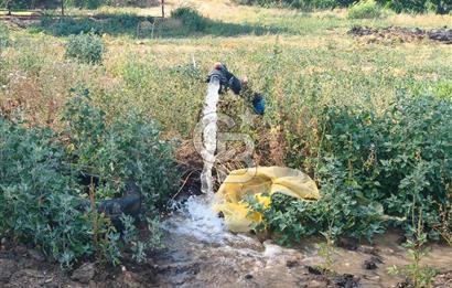 ÖDEMİŞ'TE İMARLI ALANA KOMŞU SATILIK 5900 m² MÜSTAKİL ÇİFTLİK