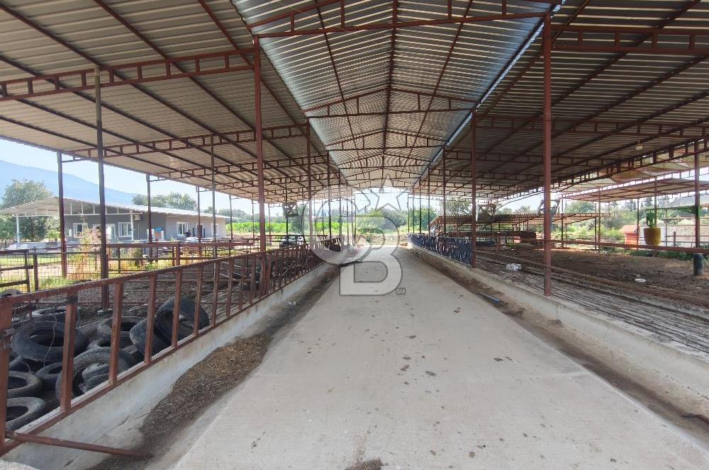 ÖDEMİŞ'TE İMARLI ALANA KOMŞU SATILIK 5900 m² MÜSTAKİL ÇİFTLİK