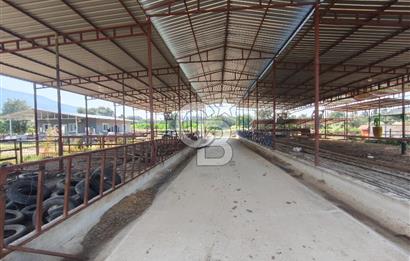 ÖDEMİŞ'TE İMARLI ALANA KOMŞU SATILIK 5900 m² MÜSTAKİL ÇİFTLİK