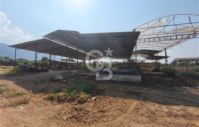 ÖDEMİŞ'TE İMARLI ALANA KOMŞU SATILIK 5900 m² MÜSTAKİL ÇİFTLİK