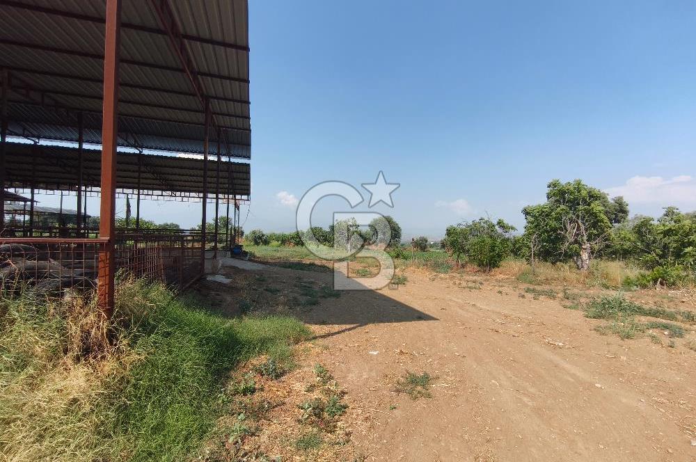 ÖDEMİŞ'TE İMARLI ALANA KOMŞU SATILIK 5900 m² MÜSTAKİL ÇİFTLİK