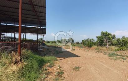 ÖDEMİŞ'TE İMARLI ALANA KOMŞU SATILIK 5900 m² MÜSTAKİL ÇİFTLİK