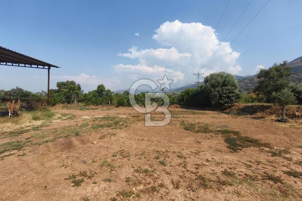 ÖDEMİŞ'TE İMARLI ALANA KOMŞU SATILIK 5900 m² MÜSTAKİL ÇİFTLİK