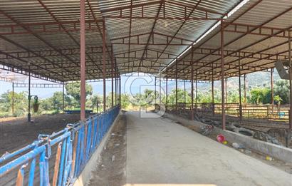 ÖDEMİŞ'TE İMARLI ALANA KOMŞU SATILIK 5900 m² MÜSTAKİL ÇİFTLİK