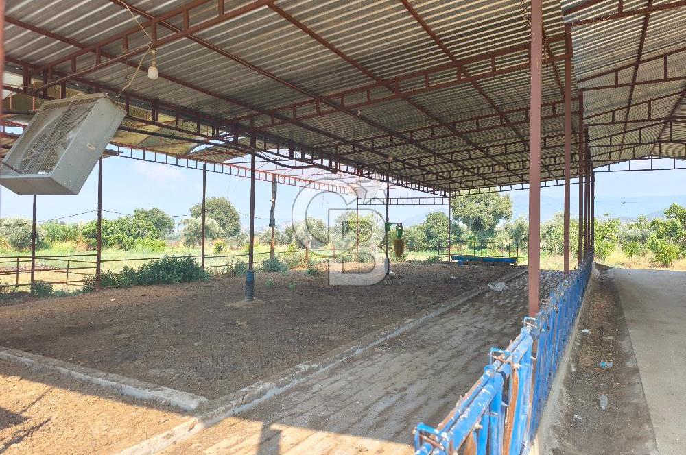 ÖDEMİŞ'TE İMARLI ALANA KOMŞU SATILIK 5900 m² MÜSTAKİL ÇİFTLİK
