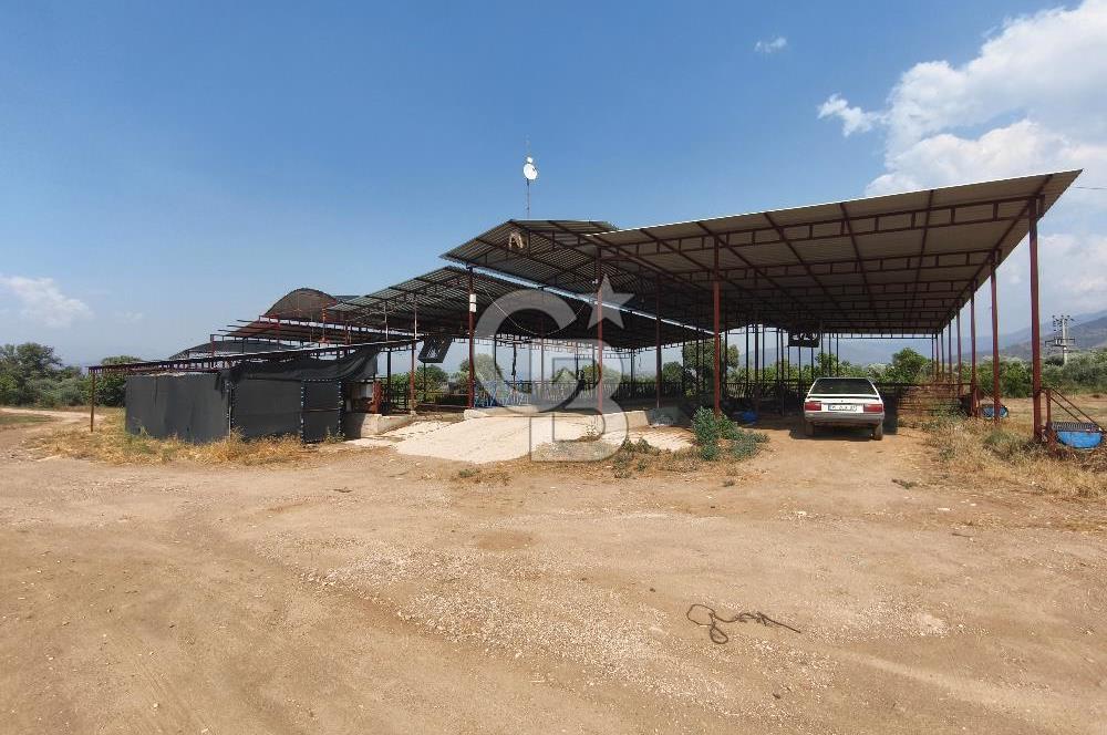 ÖDEMİŞ'TE İMARLI ALANA KOMŞU SATILIK 5900 m² MÜSTAKİL ÇİFTLİK