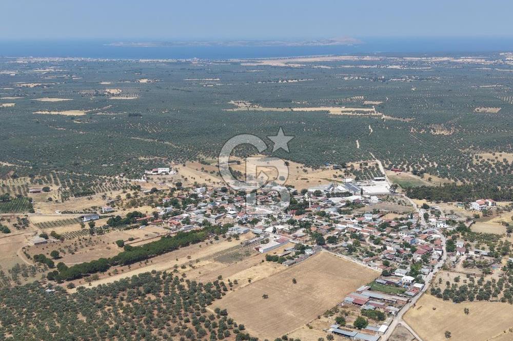 Geyikli Mecidiye Köyü'nde Villa İmarlı 1.812 m² Satılık Arsa