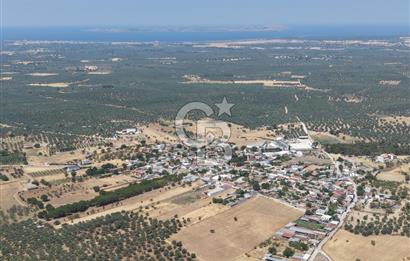 Geyikli Mecidiye Köyü'nde Villa İmarlı 1.812 m² Satılık Arsa