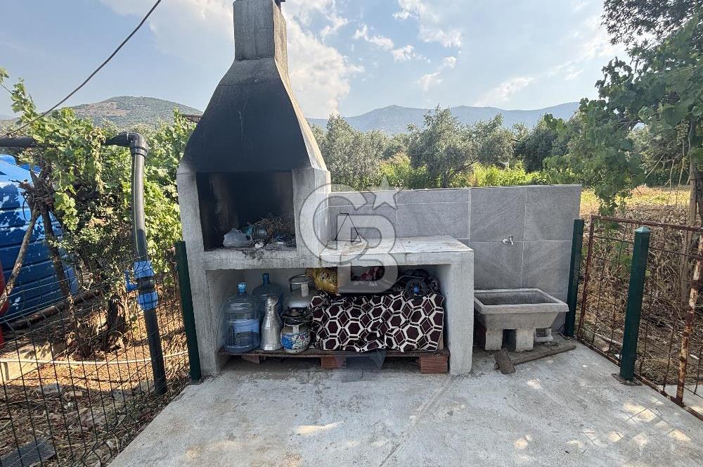 ÖDEMİŞ'TE İMARLI ALANA KOMŞU SATILIK 5900 m² MÜSTAKİL ÇİFTLİK