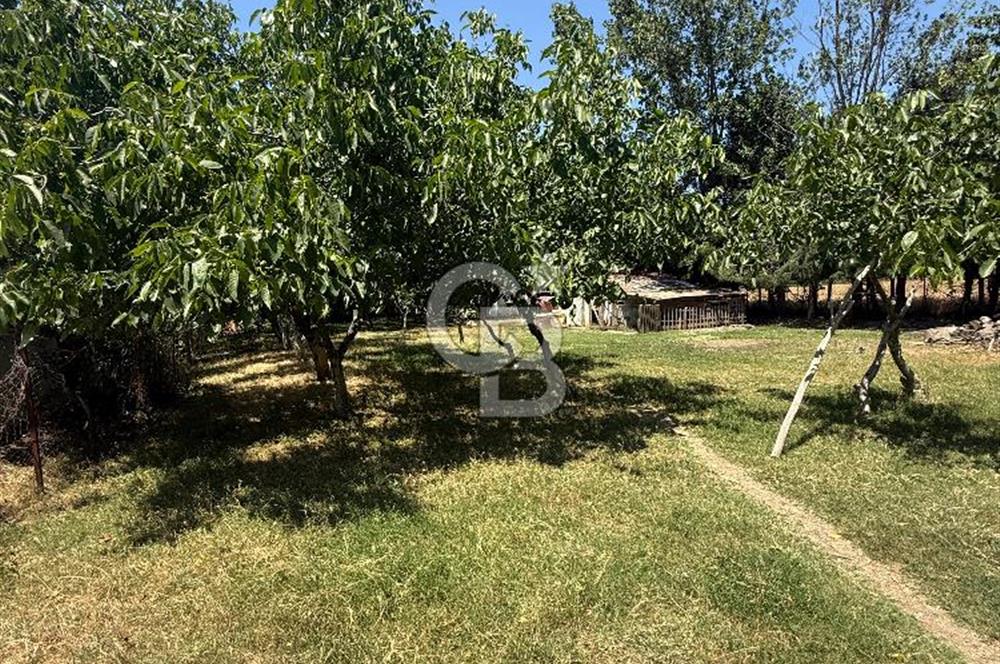 ÇATALCA'DA KAÇIRILMAYACAK FIRSAT! 8.800 m² KURULU ÇİFTLİK