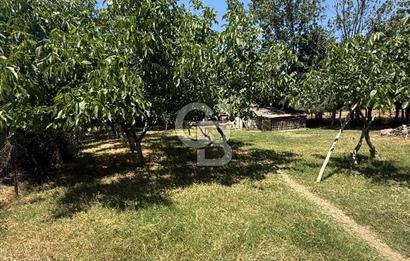 ÇATALCA'DA KAÇIRILMAYACAK FIRSAT! 8.800 m² KURULU ÇİFTLİK