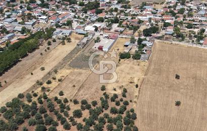Geyikli Mecidiye Köyü'nde Villa İmarlı 1.812 m² Satılık Arsa