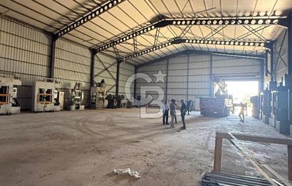 ÇATALCA'DA KAÇIRILMAYACAK FIRSAT! 8.800 m² KURULU ÇİFTLİK