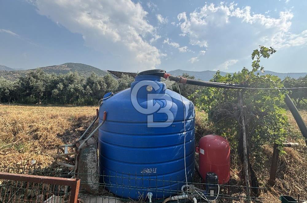 ÖDEMİŞ'TE İMARLI ALANA KOMŞU SATILIK 5900 m² MÜSTAKİL ÇİFTLİK