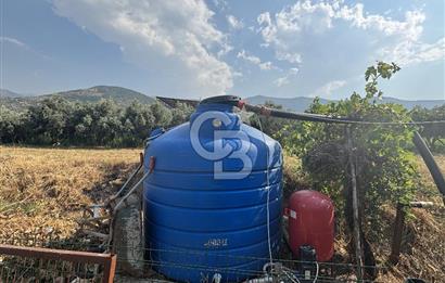 ÖDEMİŞ'TE İMARLI ALANA KOMŞU SATILIK 5900 m² MÜSTAKİL ÇİFTLİK