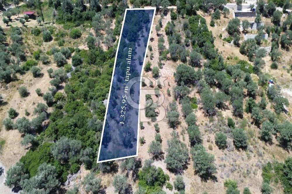 Karaburun Kösedere'de Panoramik Deniz Manzaralı Satılık Tarla