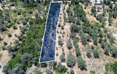 Karaburun Kösedere'de Panoramik Deniz Manzaralı Satılık Tarla