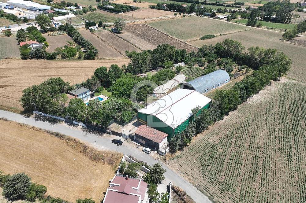 ÇATALCA'DA KAÇIRILMAYACAK FIRSAT! 8.800 m² KURULU ÇİFTLİK