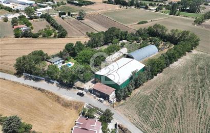 ÇATALCA'DA KAÇIRILMAYACAK FIRSAT! 8.800 m² KURULU ÇİFTLİK