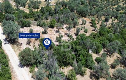 Karaburun Kösedere'de Panoramik Deniz Manzaralı Satılık Tarla