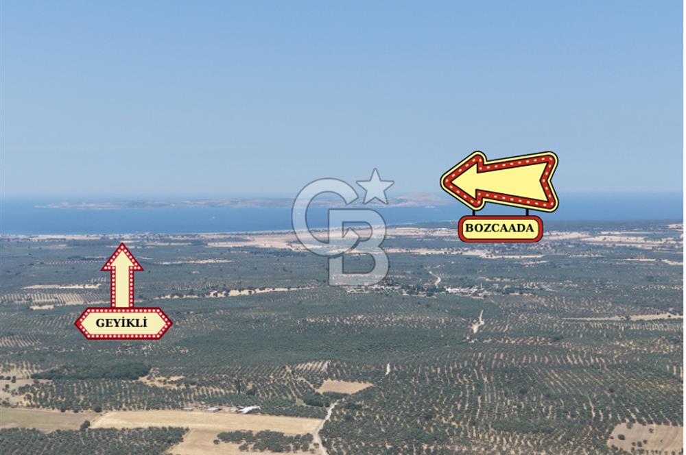 Geyikli Mecidiye Köyü'nde Villa İmarlı 1.812 m² Satılık Arsa