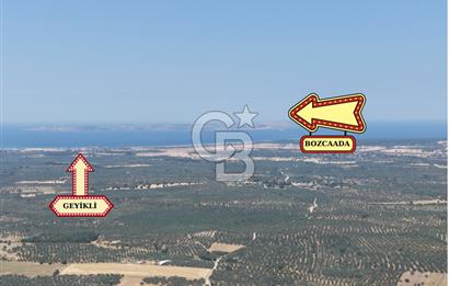 Geyikli Mecidiye Köyü'nde Villa İmarlı 1.812 m² Satılık Arsa