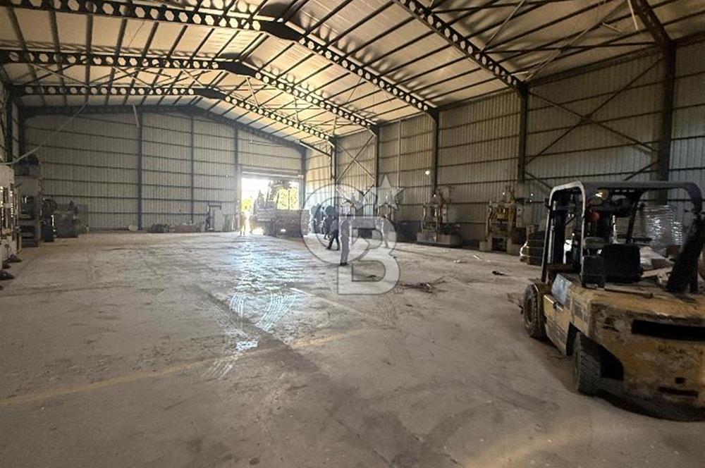 ÇATALCA'DA KAÇIRILMAYACAK FIRSAT! 8.800 m² KURULU ÇİFTLİK