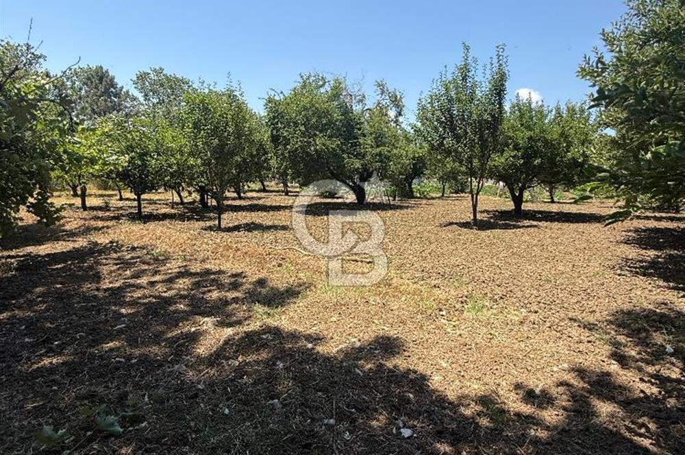 ÇATALCA'DA KAÇIRILMAYACAK FIRSAT! 8.800 m² KURULU ÇİFTLİK