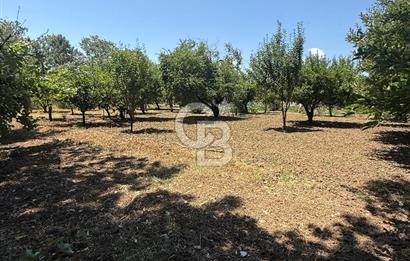 ÇATALCA'DA KAÇIRILMAYACAK FIRSAT! 8.800 m² KURULU ÇİFTLİK