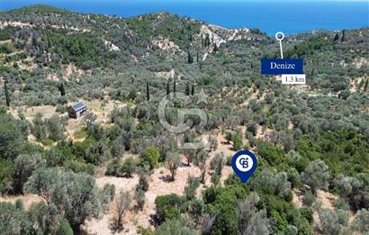 Karaburun Kösedere'de Panoramik Deniz Manzaralı Satılık Tarla