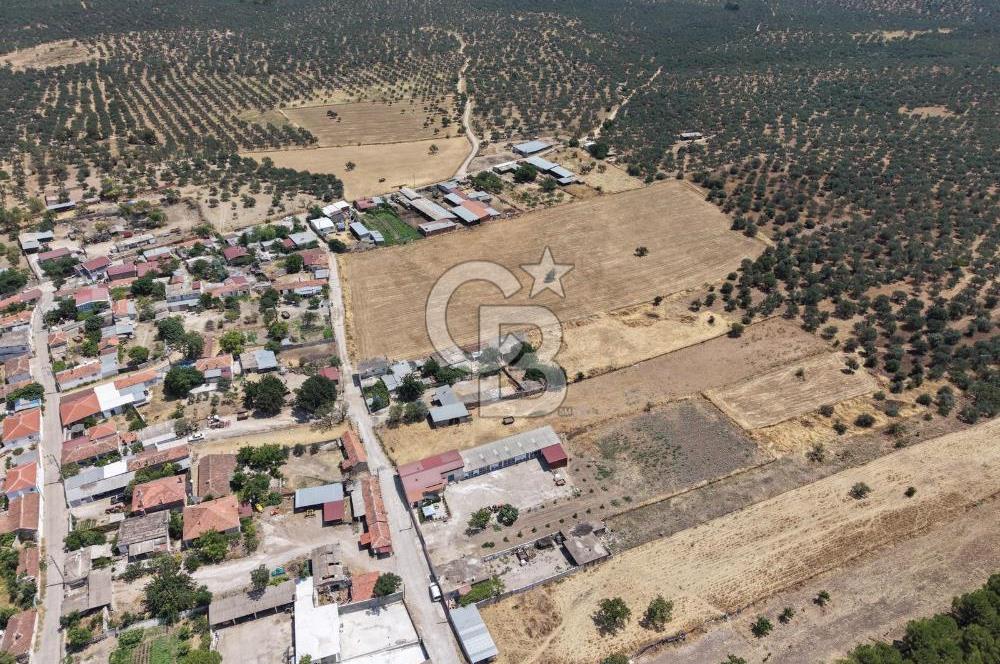 Geyikli Mecidiye Köyü'nde Villa İmarlı 1.812 m² Satılık Arsa