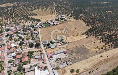 Geyikli Mecidiye Köyü'nde Villa İmarlı 1.812 m² Satılık Arsa