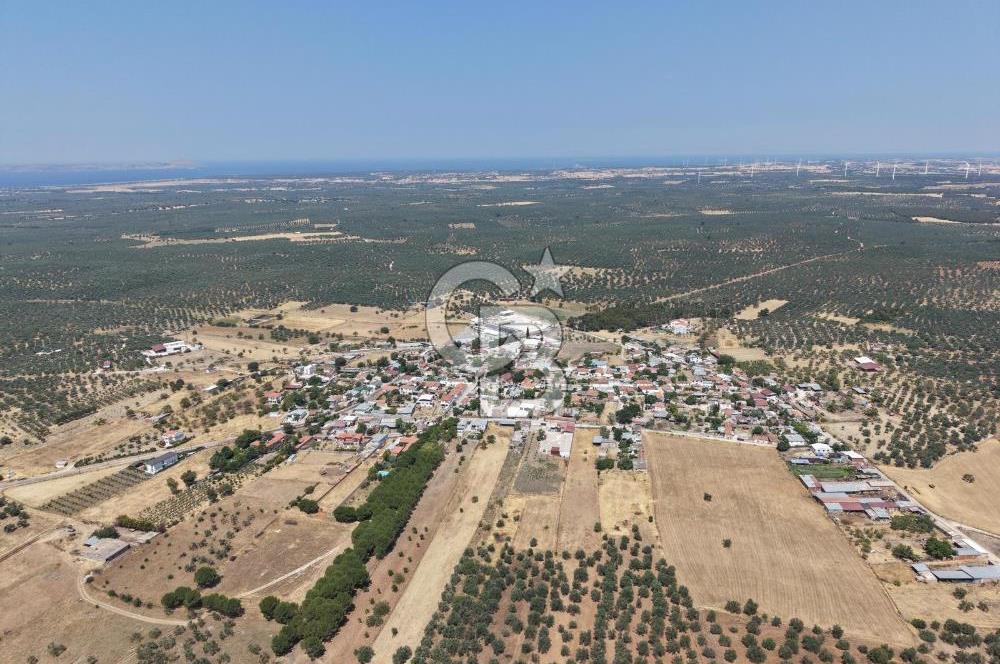Geyikli Mecidiye Köyü'nde Villa İmarlı 1.812 m² Satılık Arsa