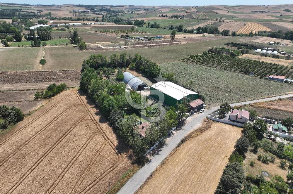 ÇATALCA'DA KAÇIRILMAYACAK FIRSAT! 8.800 m² KURULU ÇİFTLİK