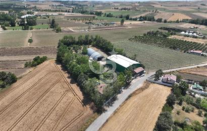 ÇATALCA'DA KAÇIRILMAYACAK FIRSAT! 8.800 m² KURULU ÇİFTLİK