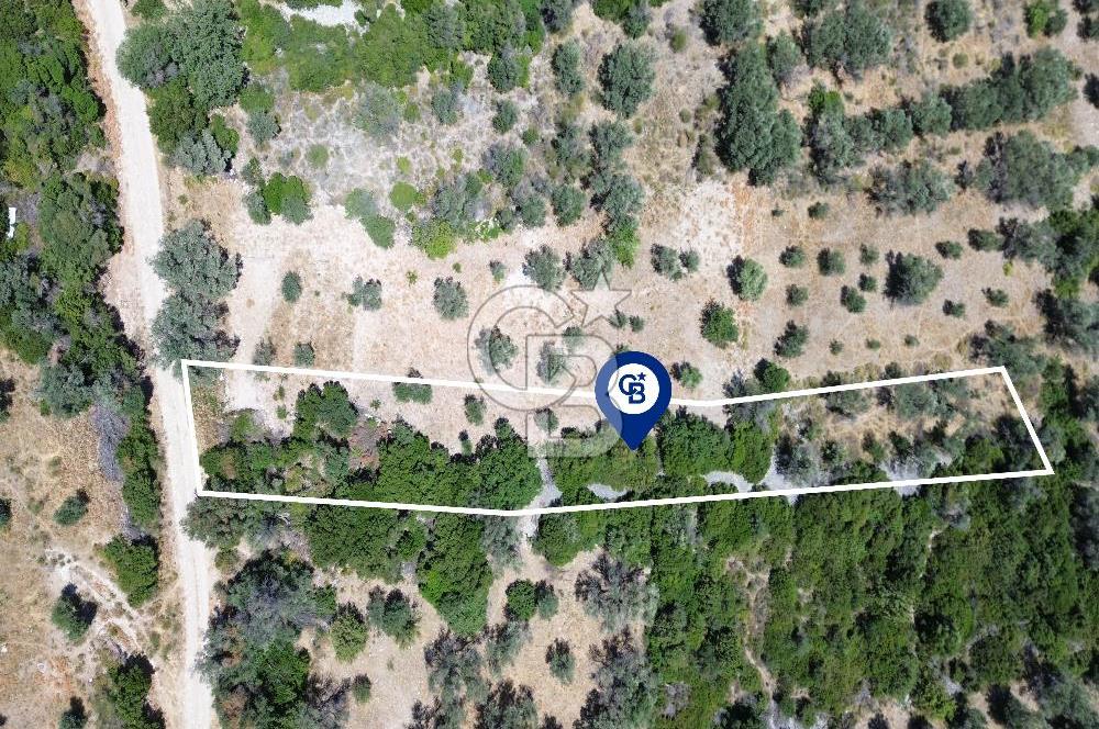 Karaburun Kösedere'de Panoramik Deniz Manzaralı Satılık Tarla