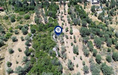 Karaburun Kösedere'de Panoramik Deniz Manzaralı Satılık Tarla
