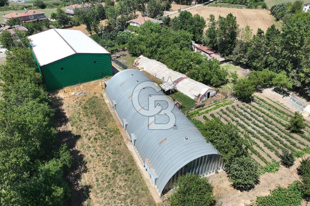ÇATALCA'DA KAÇIRILMAYACAK FIRSAT! 8.800 m² KURULU ÇİFTLİK