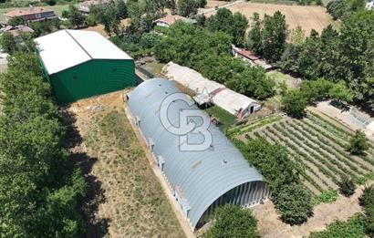 ÇATALCA'DA KAÇIRILMAYACAK FIRSAT! 8.800 m² KURULU ÇİFTLİK