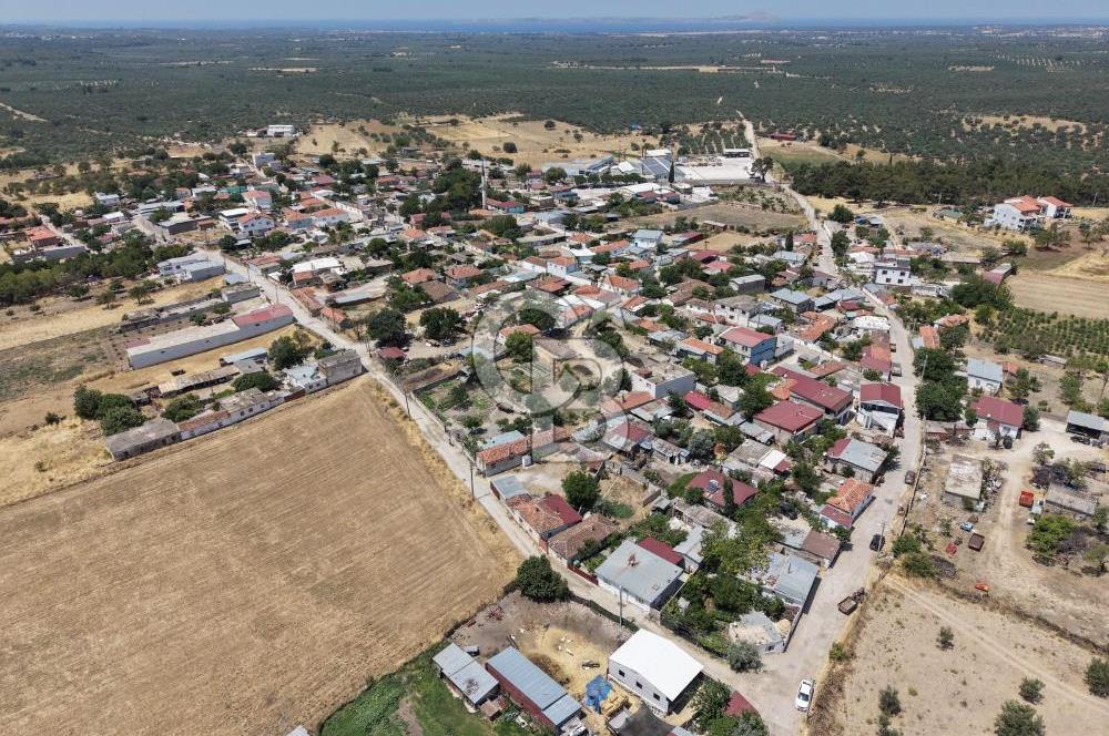 Geyikli Mecidiye Köyü'nde Villa İmarlı 1.812 m² Satılık Arsa