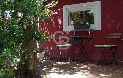 AYVALIK MERKEZDE KİRALIK MÜSTAKİL RUM EVİ