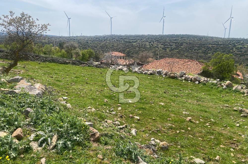 İZMİR BERGAMA BALABAN MAHALLESİ'NDE YAZILI İMAR DURUMU OLAN FIRSAT ARAZİ
