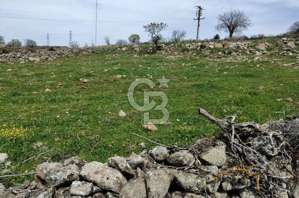 İZMİR BERGAMA BALABAN MAHALLESİ'NDE YAZILI İMAR DURUMU OLAN FIRSAT ARAZİ
