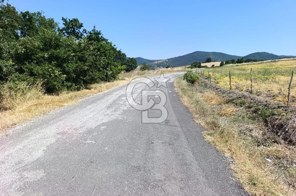 BİGA SAZOBA KÖYÜNDE 1900 M2 TARIM ARAZİSİ